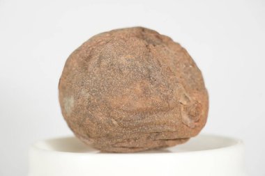 Sapodilla: Doğanın Rustik Zarafetinin Yakın Çekimi, bu resim olgun Sapodilla 'nın (Chikoo), pürüzsüz, kahverengi dokusunun el değmemiş beyaz bir zemin ile güzel bir tezat oluşturduğunu gösteriyor..