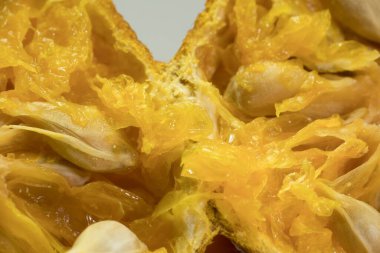 Citrus Splendor: Bir Portakal Dilimleme ve Tohumlara Macro Yolculuğu, bu makro görüntü sizi bir portakal diliminin kalbine doğru bir yolculuğa davet ediyor. Canlı, sulu hücreler, pürüzsüz tohumlar, ve dokulu