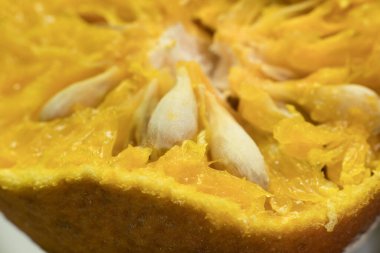 Canlı Turuncu Anatomi: Bir Makro Pulp ve Tohum Keşfi, bu makro görüntü bir portakalın iç kısmının karmaşık detaylarını yakalar. Canlı, sulu hücreler, pürüzsüz tohumlar ve dokulu kabuk.