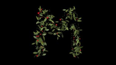 Doğanın Alfabesi: Vibrant Red Berries ve Lush Green Leaves tarafından oluşturulan baş döndürücü M harfleri, Alfabe harfleri titizlikle canlı kırmızı böğürtlenlerden ve gür yeşil yapraklardan yapılmıştır..