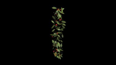 Doğanın Alfabesi: Vibrant Red Berries ve Lush Green Leaves tarafından oluşturulan Sersemletici Harflerin Gösterimi, Alfabe harfleri titizlikle canlı kırmızı böğürtlenlerden ve gür yeşil yapraklardan yapılmıştır..