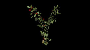 Doğanın Alfabesi: Vibrant Red Berries ve Lush Green Leaves tarafından oluşturulan Y harflerinin çarpıcı görüntüsü, Alfabe harfleri titizlikle canlı kırmızı böğürtlenlerden ve gür yeşil yapraklardan yapılmıştır..