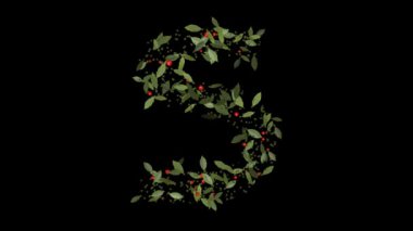 Doğanın Alfabesi: Vibrant Red Berries ve Lush Green Leaves tarafından oluşturulan S harflerinin çarpıcı bir gösterimi, Alfabe harfleri titizlikle canlı kırmızı böğürtlenlerden ve gür yeşil yapraklardan yapılmıştır..