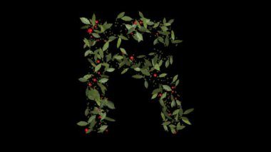Doğanın Alfabesi: Vibrant Red Berries ve Lush Green Leaves tarafından oluşturulan şaşırtıcı R harfi harfi, alfabe harfleri titizlikle canlı kırmızı dutlardan ve gür yeşil yapraklardan yapılmıştır..