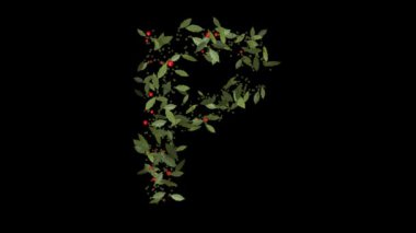 Doğanın Alfabesi: Vibrant Red Berries ve Lush Green Leaves tarafından oluşturulan 