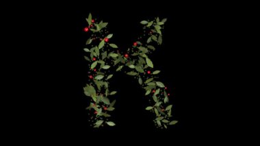 Doğanın Alfabesi: Vibrant Red Berries ve Lush Green Leaves tarafından oluşturulan K harflerinin çarpıcı görüntüsü, Alfabe harfleri titizlikle canlı kırmızı böğürtlenlerden ve gür yeşil yapraklardan yapılmıştır..