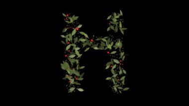 Doğanın Alfabesi: Vibrant Red Berries ve Lush Green Leaves tarafından oluşturulan H harflerinin çarpıcı görüntüsü, Alfabe harfleri titizlikle canlı kırmızı böğürtlenlerden ve gür yeşil yapraklardan yapılmıştır..