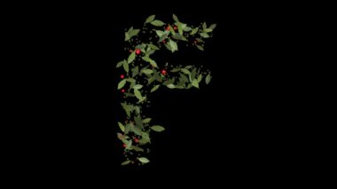 Doğanın Alfabesi: Vibrant Red Berries ve Lush Green Leaves tarafından oluşturulan F harflerinin çarpıcı görüntüsü, Alfabe harfleri titizlikle canlı kırmızı böğürtlenlerden ve gür yeşil yapraklardan yapılmıştır..