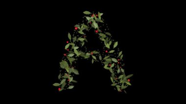 Doğanın Alfabesi: Vibrant Red Berries ve Lush Green Leaves tarafından oluşturulan A harflerinin çarpıcı görüntüsü, Alfabe harfleri titizlikle canlı kırmızı böğürtlenlerden ve gür yeşil yapraklardan yapılmıştır..