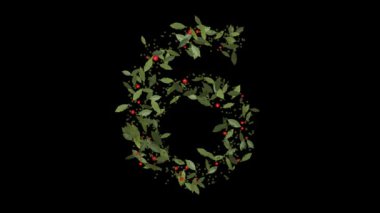 Doğanın Rakamları: 6 Numaranın Dinamik Gösterimi Vibrant Red Berries ve Lush Green Leaves tarafından şekillendirildi, Alfabe harfleri titizlikle canlı kırmızı böğürtlenlerden ve gür yeşil yapraklardan yapıldı..