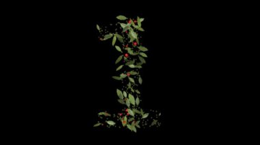 Doğanın Rakamları: Vibrant Red Berries ve Lush Green Leaves tarafından oluşturulan 1 Numaranın Dinamik Gösterimi, Alfabe harfleri titizlikle canlı kırmızı böğürtlenlerden ve gür yeşil yapraklardan yapılmıştır..