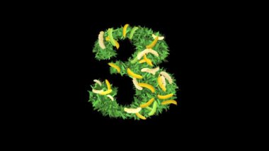 Alfabe Tipografisi: Muz 'da yapraklı ve dallı' 3 Numaralı Harf 'Bu video tipografi ve doğanın büyüleyici bir karışımını sunuyor.