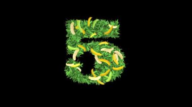 Botanik Alfabe Tipografisi: Muz 'da yapraklı ve dallı' 5 Numaralı Harf 'Bu video tipografi ve doğanın büyüleyici bir karışımını sunuyor.