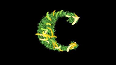 Botanik Alfabe Tipografisi: Muz 'da yapraklar ve dallarla' C 'harfi, bu video tipografi ve doğanın büyüleyici bir karışımını sunuyor..