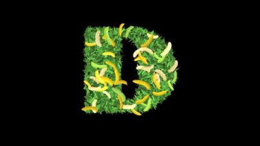 Botanik Alfabe Tipografisi: Muz 'da yapraklar ve dallarla' D 'harfi, bu video tipografi ve doğanın büyüleyici bir karışımını sunuyor..