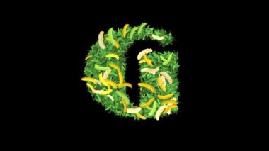 Botanik Alfabe Tipografisi: Muz 'da yapraklar ve dallarla' G 'harfi, bu video tipografi ve doğanın büyüleyici bir karışımını sunuyor..