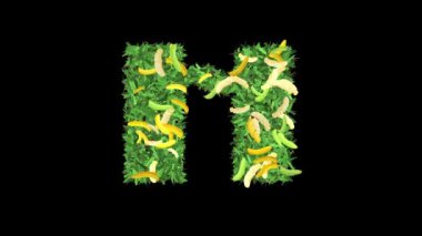 Botanik Alfabe Tipografisi: Muz 'da yapraklar ve dallarla' H 'harfi, bu video tipografi ve doğanın büyüleyici bir karışımını sunuyor..