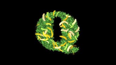 Botanik Alfabe Tipografisi: Muz dilinde yapraklı ve dallı 'Q' harfi, Bu video tipografi ve doğanın büyüleyici bir karışımını sunar..