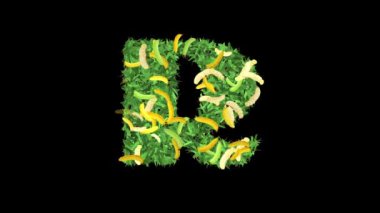 Botanik Alfabe Tipografisi: Muz 'da yapraklı ve dallı' R 'harfi, bu video tipografi ve doğanın büyüleyici bir karışımını sunuyor..