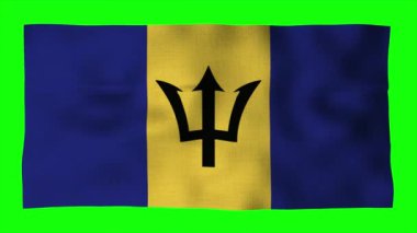 Barbados's National Flag in a Dynamic Display: A Sign of Strength and Unity, Every wave reflects the nation's rich history and unwavering spirit. telling a story of resiliency.