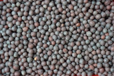 Doğal Kara Hardal Tohumu (Brassica nigra) arka planda makro yakın plan çekimde. Bir yığın mis kokulu Hint baharatı. üst görünüm