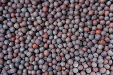 Arkaplana karşı organik siyah hardal tohumunun (Brassica nigra) yakın plan makrosu. Bir çeşit mis kokulu Hint baharatı. üst perspektif