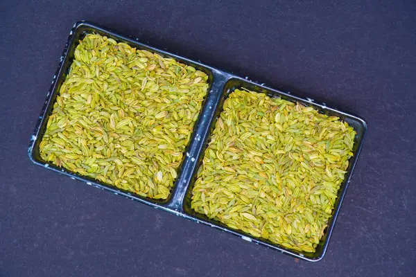 Stock image top view of Fennel Seed in double square bowl, isolated in black background