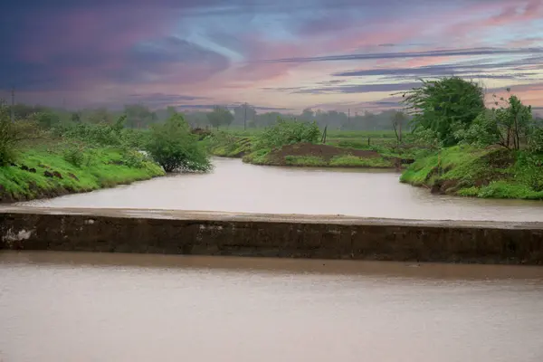 stock image Serene Twilight: Green Landscape with a Water Canal, Experience the serene beauty of nature in this stock image, showcasing a peaceful water canal.