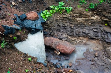 Yol kenarına kadar uzanan büyüleyici bir patika, doğal manzaranın ortasındaki bir nesneyi vurguluyor.