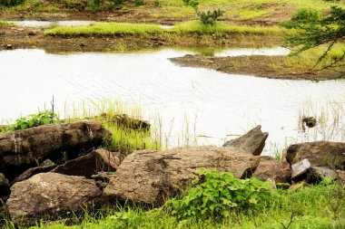 Kayalar ve yeşil çimlerle tamamlanmış, doğanın güzelliğini somutlaştıran büyük bir su kütlesinin yer aldığı manzaralı bir manzara.