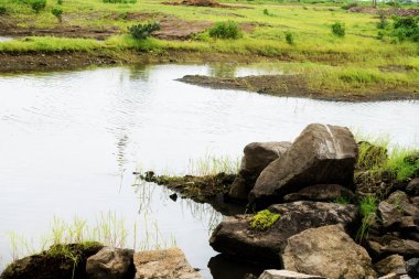 Doğanın güzelliğini yansıtan, taşlarla ve yeşil otlarla çevrelenmiş huzurlu bir gölet.