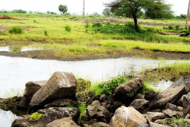 Kayalar ve canlı çimlerle çevrili sakin bir gölet, sakin bir açık hava sahnesini somutlaştırıyor.