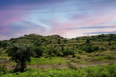 Bu çarpıcı stok görüntüsü, verimli tepeleri aydınlatan güneşin sakin cazibesini sergiliyor. Gökyüzü, güneş yükselirken turuncu ve pembenin hassas tonlarıyla süslenir. Titrek yeşil araziyi sıcak bir ışıltıyla kaplar.. 