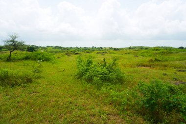 Görüntü, yemyeşil çimenler, birkaç küçük çalı ve sağda ıssız bir ağaç bulunan sakin bir çayır sunuyor. Manzara, yumuşak dalgalanmalar ve yeşil yamalarla işaretlenmiş olan mesafeye kadar uzanıyor.. 