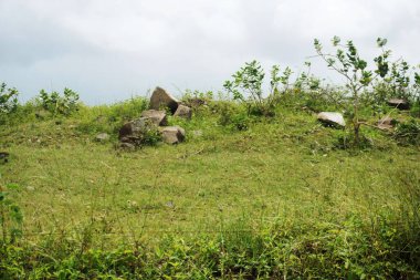 Bu stok görüntüsü, geniş yeşil alanlar ve parçalı bulutlu bir gökyüzünün altında yavaşça dalgalanan tepelerle karakterize edilmiş sakin bir kırsal ortamı tasvir ediyor..