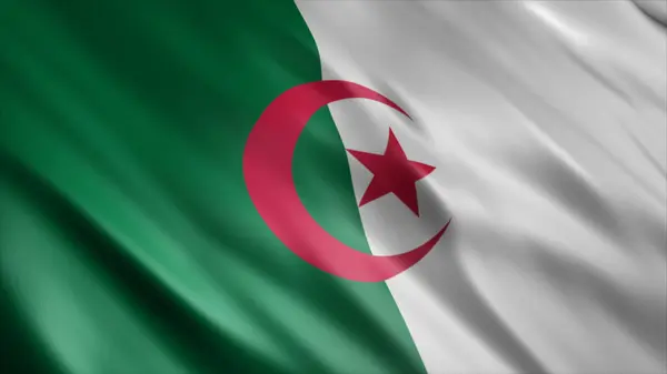 Алжирський Національний Прапор Високоякісне Зображення Прапора — стокове фото