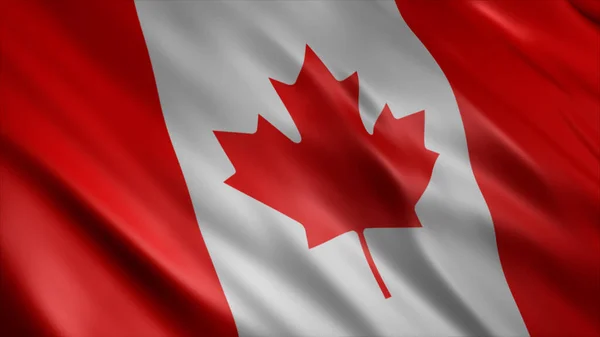 Canada Nationale Vlag Hoge Kwaliteit Zwaaien Vlag Afbeelding — Stockfoto