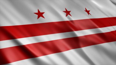 Washington DC Eyaleti (USA) Yüksek Kalite Dalgalanan Bayrak Resmi 