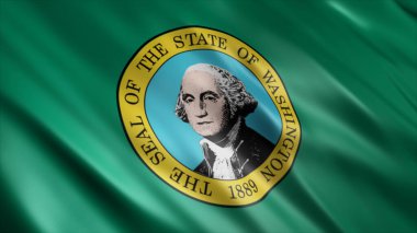 Washington Eyaleti (USA) Yüksek Kalite Dalgalanan Bayrak Resmi 