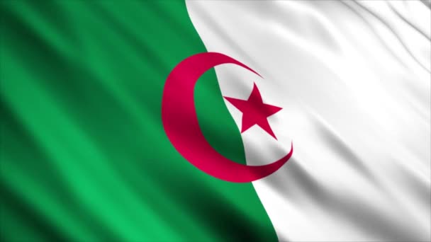 Algeriet National Flag Animation Hög Kvalitet Viftande Flagga Animation Med — Stockvideo