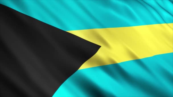 Bahamas National Flag Animation Hög Kvalitet Viftande Flagga Animation Med — Stockvideo