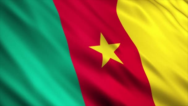 Καμερούν National Flag Animation Υψηλής Ποιότητας Κυματιστή Σημαία Animation Seamless — Αρχείο Βίντεο