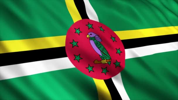 Animación Bandera Nacional Dominica Animación Bandera Ondeante Alta Calidad Con — Vídeo de stock