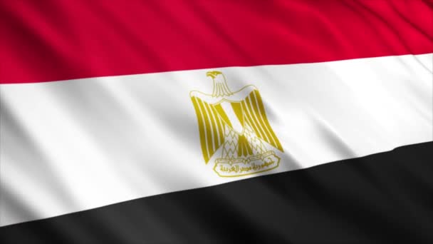 埃及国家国旗动画 高品质的无缝带摆动国旗动画 延长所需的时间 — 图库视频影像