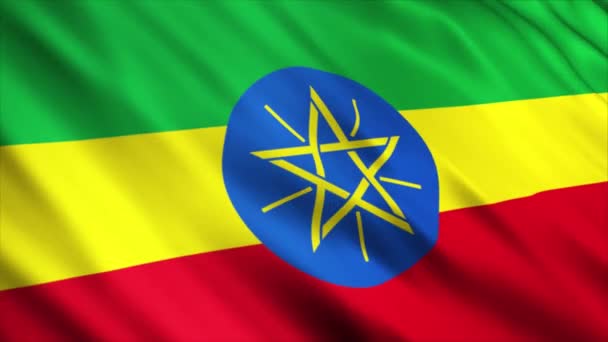 Анимация Флага Эфиопии Анимация Высоким Качеством Размахивания Флагом Бесшовным Петлей — стоковое видео