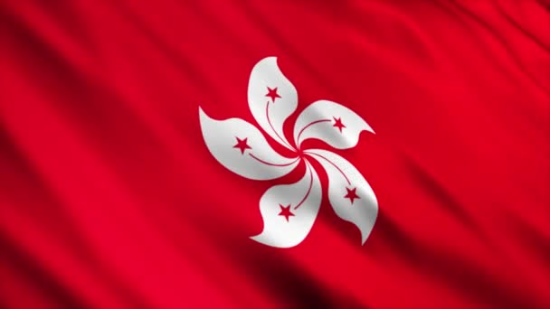 Hong Kong Ulusal Bayrak Animasyonu Yüksek Kalite Dalgalanan Bayrak Animasyonu — Stok video