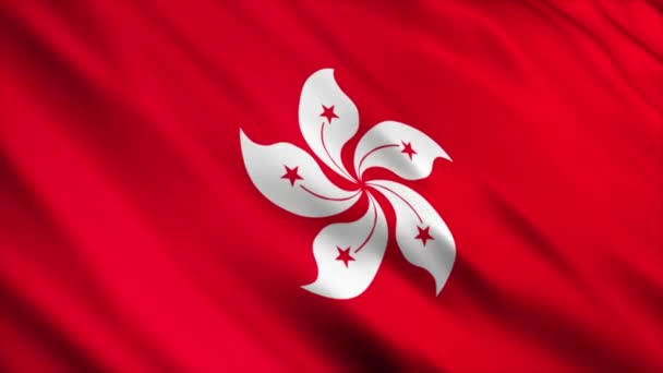 Animation Drapeau National Hong Kong Animation Drapeau Ondulé Haute Qualité — Video