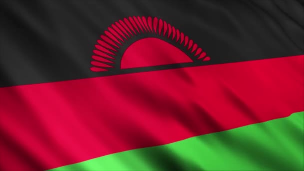 Animación Bandera Nacional Malawi Animación Bandera Ondeante Alta Calidad Con — Vídeo de stock