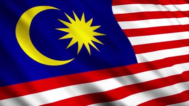 Malaysia National Flag Animation Hög Kvalitet Viftande Flagga Animation Med — Stockvideo
