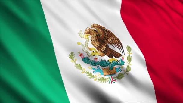 Mexiko National Flag Animation Hög Kvalitet Viftande Flagga Animation Med — Stockvideo